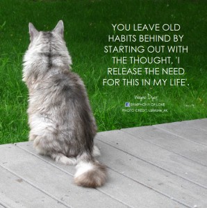 You leave old habits behind by starting out with the thought,