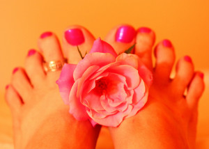 Woman's Feet Holding Pink Rose Fresh Pedicure