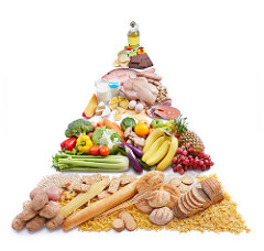 food pyramid photo