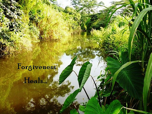 Read more about the article The Real Role of Forgiveness: Bringing Back Wellness